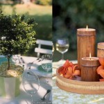 Martha Stewart Tropical Party Decor2